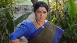 Savitramma Gari Abbayi S01E221 Savitri's Smart Move Full Episode