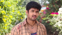 Savitramma Gari Abbayi S01E228 Balaraju, Nandini Escape Full Episode