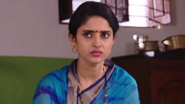 Savitramma Gari Abbayi S01E231 Nandini Blames Balaraju Full Episode