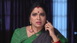 Savitramma Gari Abbayi S01E234 A Shocker for Savitri Full Episode