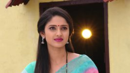 Savitramma Gari Abbayi S01E242 Nandini's Birthday Celebrations Full Episode