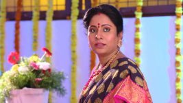 Savitramma Gari Abbayi S01E25 Jamuna Has a Breakdown Full Episode