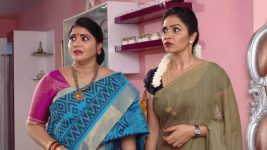 Savitramma Gari Abbayi S01E353 Gajalakshmi in Shock Full Episode