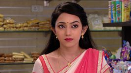 Savitramma Gari Abbayi S01E364 A Test for Nandini, Myna Full Episode