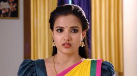 Savitramma Gari Abbayi S01E398 Myna Gets Terrified Full Episode