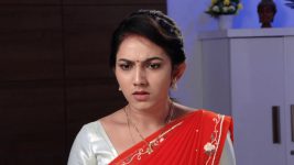 Savitramma Gari Abbayi S01E430 Nandini Learns the Truth Full Episode