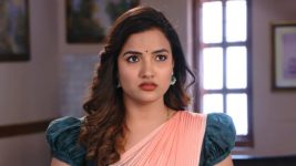 Savitramma Gari Abbayi S01E575 Myna's Wicked Plan Full Episode