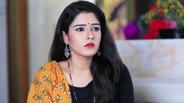 Seetha Vallabha S01E425 30th January 2020 Full Episode