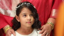 Senthoora Poove S01E14 Kayal Expresses Her Wish Full Episode