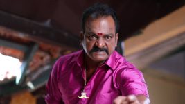 Senthoora Poove S01E15 Pandian to Catch Anbu, Roja? Full Episode