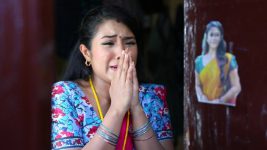 Senthoora Poove S01E22 Roja Is Heartbroken Full Episode