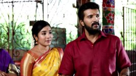 Senthoora Poove S01E258 Durai, Roja Go to the Temple Full Episode