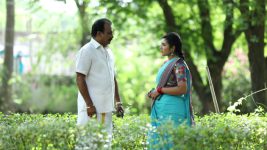 Senthoora Poove S01E270 Pandian Cautions Roja Full Episode