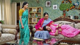 Senthoora Poove S01E282 Roja Is Hospitalised Full Episode