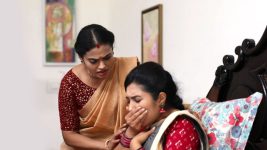 Senthoora Poove S01E284 Roja Is Unwell Full Episode