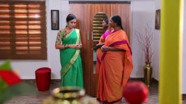 Senthoora Poove S01E312 Mariamma Bothers Roja Full Episode