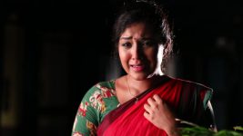 Senthoora Poove S01E37 Roja Is Paranoid Full Episode