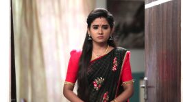 Siva Manasula Sakthi S01E128 Rekha Loses Hope Full Episode