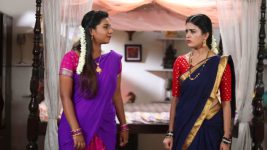 Siva Manasula Sakthi S01E135 Sakthi Argues with Nithya Full Episode