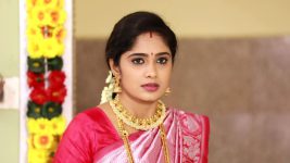 Sundhari Neeyum Sundharan Naanum S01E169 Tamizh Is Cornered Full Episode