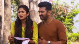 Swabhimaan Shodh Astitvacha S01E260 Shantanu, Pallavi Win the Game! Full Episode