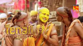 Tenali Rama S01E06 Tathacharya's Hunt To Find Tenali Full Episode