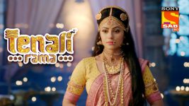 Tenali Rama S01E112 Rapidfire Questions Full Episode
