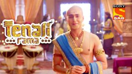 Tenali Rama S01E17 Tathacharya's Insult Full Episode