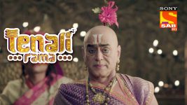 Tenali Rama S01E177 Bala's Revenge Plan Full Episode