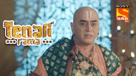 Tenali Rama S01E182 Holi Celebrations: The Holi aftermath Full Episode