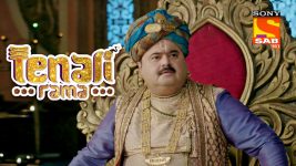 Tenali Rama S01E200 Tathacharya's Search Full Episode