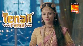 Tenali Rama S01E203 Vasudev Returns Full Episode