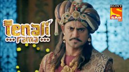 Tenali Rama S01E211 Spreads Like Fire Full Episode