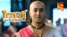 Tenali Rama S01E258 The Good News Full Episode