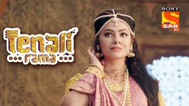 Tenali Rama S01E27 Tathacharya Meets Sudhamini Full Episode