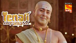 Tenali Rama S01E277 Burning The Midnight Oil Full Episode