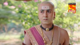 Tenali Rama S01E390 Thief Caught! Full Episode