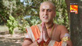 Tenali Rama S01E463 Naseeruddin Challenges Tathacharya Full Episode