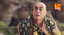 Tenali Rama S01E499 Tenali's Wisdom Is Rewarded Full Episode