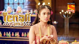 Tenali Rama S01E56 Tathacharya's Fast Full Episode