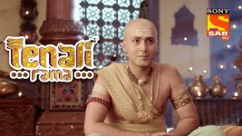 Tenali Rama S01E80 Hair Removing Oil For Rama Full Episode