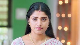 Thirumanam S01E269 8th October 2019 Full Episode