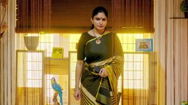 Thirumanam S01E297 12th November 2019 Full Episode