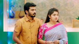 Thirumanam S01E303 19th November 2019 Full Episode