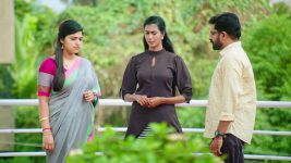 Thirumanam S01E330 20th December 2019 Full Episode