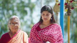 Thirumanam S01E344 31st December 2019 Full Episode