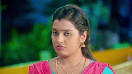 Thirumanam S01E383 12th February 2020 Full Episode