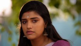 Thirumanam S01E430 10th August 2020 Full Episode