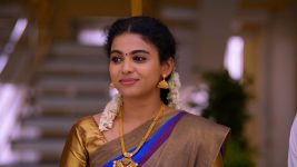 Thirumanam S01E435 17th August 2020 Full Episode