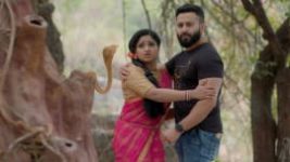 Trinayani (Kannada) S01E141 12th August 2021 Full Episode